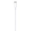 Apple Kabel USB C - Lightning 2m weiß (MKQ42ZM/A)