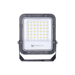 Naświetlacz LED PROXIM+ 30W 6500K 4500lm 230V IP65 Forever Light 150lm/W 5 lat gwarancji