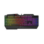 Gaming keyboard Havit GAMENOTE KB488L