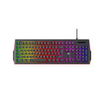 Havit KB866L Membrane Gaming Keyboard RGB