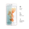 Tempered Glass IPHONE 6+ / 6S+ Box